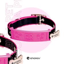 PET COLLAR