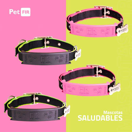 PET COLLAR